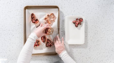 Photo for Flat lay. Removing freshly made Christmas cookie-cutter peppermint fudge from cookie cutters. - Royalty Free Image