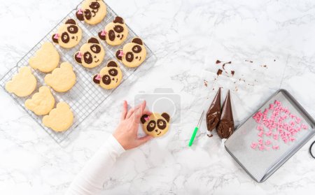 Téléchargez les photos : Pose plate. Biscuits sablés glacés en forme de panda avec glaçage au chocolat. - en image libre de droit