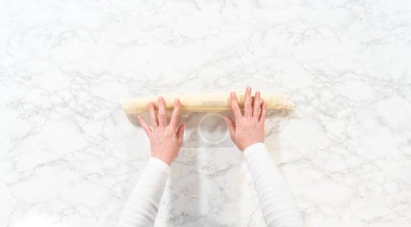 Téléchargez les photos : Pose plate. Rouler la pâte à pain remplie de cannelle et de pacanes hachées dans un rouleau pour cuire des cupcakes à la cannelle sans levure. - en image libre de droit