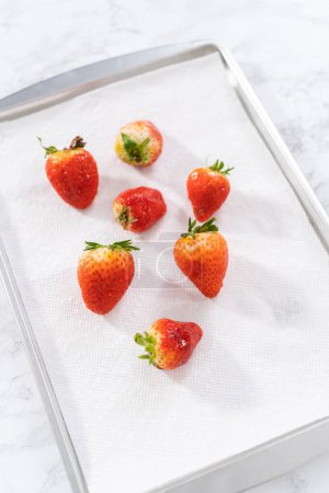 Téléchargez les photos : Les fraises rouges juteuses, fraîchement lavées, sont étalées pour sécher sur une plaque à pâtisserie, soigneusement doublées de serviettes en papier pour absorber l'excès d'humidité et prévenir la moisissure.. - en image libre de droit
