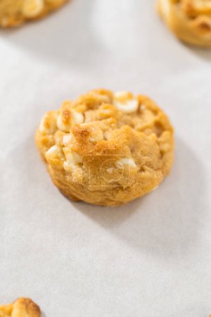 Téléchargez les photos : Refroidissement de noix de macadamia au chocolat blanc fraîchement cuites sur un comptoir de cuisine. - en image libre de droit