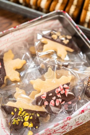 Téléchargez les photos : Pain d'épice et biscuits sucrés faits maison, à moitié trempés dans du chocolat riche, nichés dans des boîtes décoratives de Noël, parfaits pour les cadeaux saisonniers. - en image libre de droit