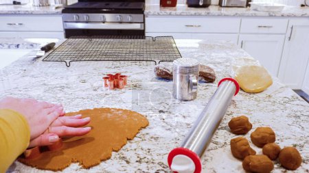 Photo for Using various festive cookie cutters, were cutting out charming gingerbread cookies from the rolled dough on the sleek marble counter, bringing holiday cheer to the modern kitchen. - Royalty Free Image
