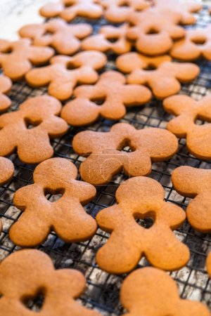 Téléchargez les photos : Les biscuits au pain d'épice fraîchement cuits trouvent leur place sur un support métallique de refroidissement dans une cuisine blanche moderne, remplissant l'air d'arômes festifs. - en image libre de droit