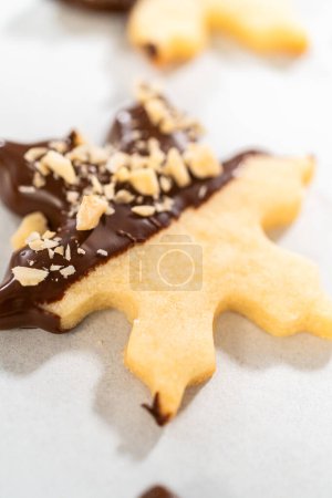 Téléchargez les photos : Création de biscuits sucrés découpés, partiellement trempés dans du chocolat et garnis de morceaux de noisettes, placés sur du papier parchemin. - en image libre de droit
