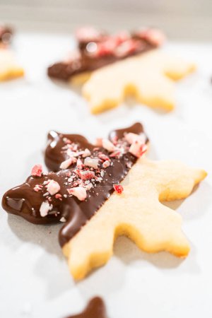 Téléchargez les photos : Préparation de biscuits étoilés, à moitié trempés dans du chocolat, accentués avec des pépites de chocolat à la menthe poivrée pour les vacances. - en image libre de droit