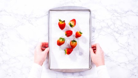 Photo for Flat lay. Juicy red strawberries, freshly washed, are spread out to dry on a baking sheet, carefully lined with paper towels to absorb excess moisture and prevent mold. - Royalty Free Image