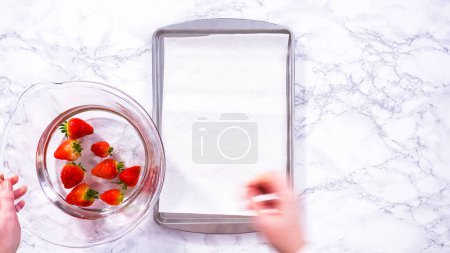 Téléchargez les photos : Pose plate. Les fraises rouges juteuses, fraîchement lavées, sont étalées pour sécher sur une plaque à pâtisserie, soigneusement doublées de serviettes en papier pour absorber l'excès d'humidité et prévenir la moisissure.. - en image libre de droit