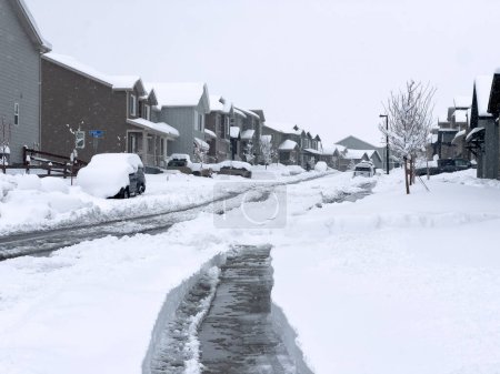 Téléchargez les photos : Castle Rock, Colorado, États-Unis-16 mars 2024-Neige recouvre une rue de banlieue, où les maisons se tiennent dans le repos tranquille et les allées révèlent le travail du matin contre les dérives incessantes de l'hiver. - en image libre de droit