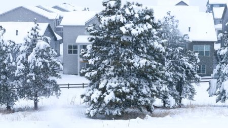 Photo for Snow enfolds the evergreens, contrasting with the orderly suburban townhouses under a quiet sky. The landscape is a symphony of softness, with uninterrupted flurries dusting every surface. - Royalty Free Image