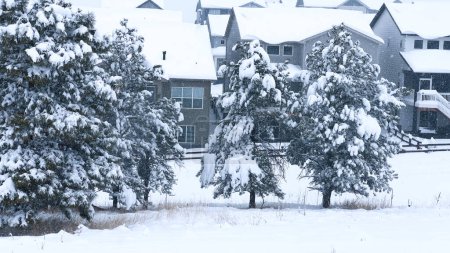 Snow enfolds the evergreens, contrasting with the orderly suburban townhouses under a quiet sky. The landscape is a symphony of softness, with uninterrupted flurries dusting every surface.