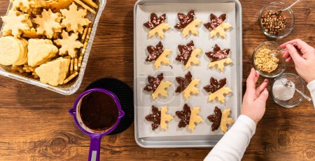 Photo for Preparing star-shaped cookies, half-dipped in chocolate, accented with peppermint chocolate chips for the holidays. - Royalty Free Image