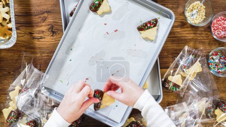 Téléchargez les photos : Pose plate. Emballage soigneux des biscuits découpés de Noël, à moitié trempés dans du chocolat, saupoudrés de noix concassées et présentés dans un emballage en cellophane transparent. - en image libre de droit