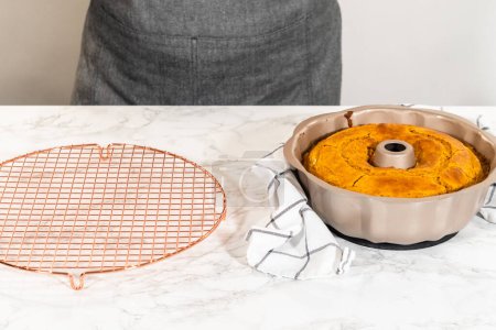 Téléchargez les photos : Refroidissement gâteau bundt citrouille fraîchement cuit sur le comptoir de cuisine. - en image libre de droit