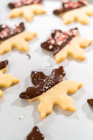 Foto de Preparando galletas en forma de estrella, medio sumergidas en chocolate, acentuadas con chispas de chocolate con menta para las fiestas. - Imagen libre de derechos