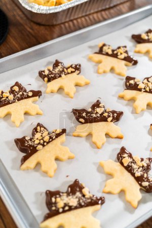Photo for Creating cutout sugar cookies, partially dipped in chocolate and topped with hazelnut pieces, placed on parchment paper. - Royalty Free Image