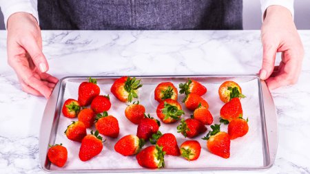 Photo for Juicy red strawberries, freshly washed, are spread out to dry on a baking sheet, carefully lined with paper towels to absorb excess moisture and prevent mold. - Royalty Free Image