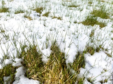 Una imagen que muestra los restos de una tormenta de nieve primaveral en un paisaje suburbano, donde la nieve fundida se encuentra con las texturas contrastantes de grava y hierba verde.
