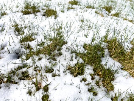 Une image montrant les vestiges d'une tempête de neige printanière sur un paysage suburbain, où la neige fondante rencontre les textures contrastées du gravier et de l'herbe verte.