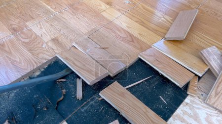 Un ensemble dispersé de planches de bois franc se trouve sur un plancher partiellement achevé, soulignant le travail en cours d'un projet de rénovation domiciliaire axé sur l'installation de nouveaux planchers de bois.