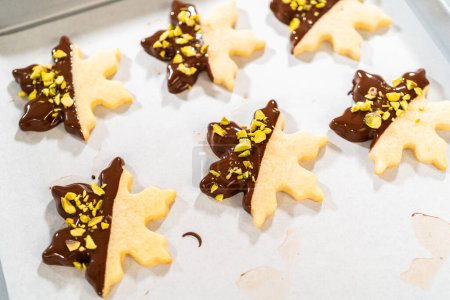 Photo for Crafting star-shaped holiday cookies dipped in chocolate and sprinkled with crushed pistachios, arranged on parchment paper. - Royalty Free Image