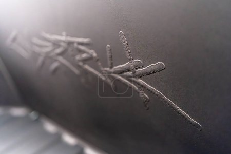 Photo for Denver, Colorado, USA-May 5, 2024-This image captures the intricate engraved Tesla logo located inside the open frunk of a Tesla Cybertruck, showcasing the attention to detail and sleek design - Royalty Free Image