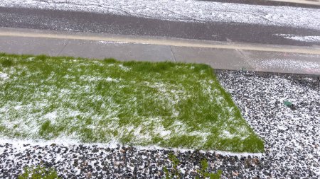 Une pelouse et un jardin rocheux recouverts de grêle après une tempête, avec l'herbe verte et de petits arbustes jetant un coup d'oeil à travers la couche de glace. Le contraste entre la grêle blanche et la verdure crée un