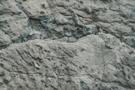 Téléchargez les photos : Vue détaillée d'une paroi rocheuse robuste montrant de nombreuses petites fissures et crevasses, créant une surface texturée. - en image libre de droit