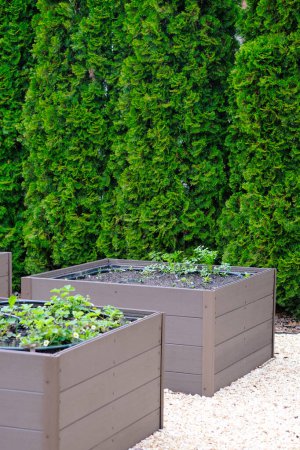 A group of four planters, of varying shapes and sizes, sit neatly aligned in a row on a flat surface.