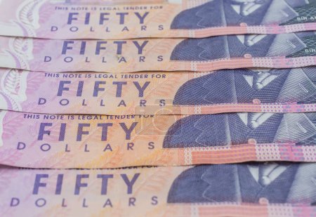 Foto de Billete de banco de Nueva Zelanda de 50 dólares sobre fondo blanco aislado. El Dolar de Nueva Zelanda es la moneda oficial de Nueva Zelanda. - Imagen libre de derechos