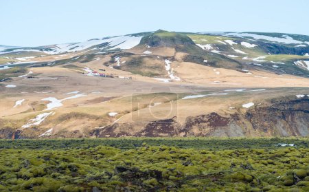 Téléchargez les photos : Le paysage spectaculaire du champ de mousse de lave d'Eldhraun en Islande. Ce champ de lave impressionnant le plus grand flux de lave au monde. - en image libre de droit