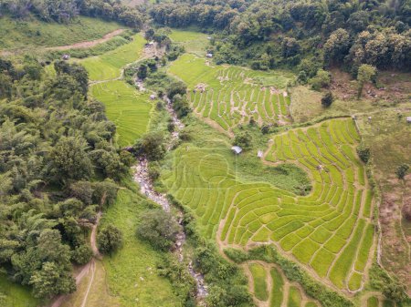 Photo for Aerial view of rice terraces in Ban Li Khai village in rural area of Chiang Rai province of Thailand. - Royalty Free Image