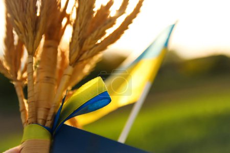Photo for Ukraine symbol. Bouquet of ripe golden spikelets of wheat tied and ukrainian flag on the meadow nature background. Flag Ukraine. Welcome Ukraine. Closeup. Out of focus. - Royalty Free Image