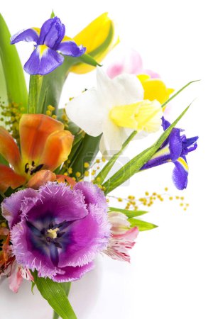 Foto de Ramo de primavera brillante en un jarrón blanco. flores de primavera, narcisos, tulipanes, jacintos, iris y mimosa aislados sobre un fondo blanco - Imagen libre de derechos