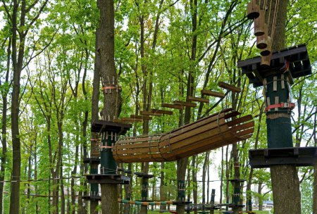 Foto de Aventura escalando en el parque con cable alto. Curso de cuerdas altas en el bosque. - Imagen libre de derechos