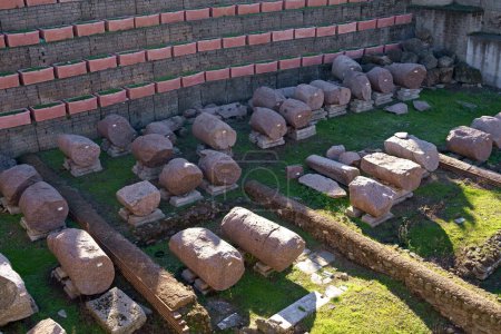 Téléchargez les photos : Ruines du Forum romain de la Colline Palatine - en image libre de droit