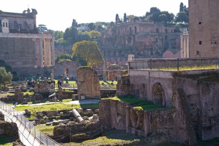 Ruins of the roman Forum from the Palatine Hill