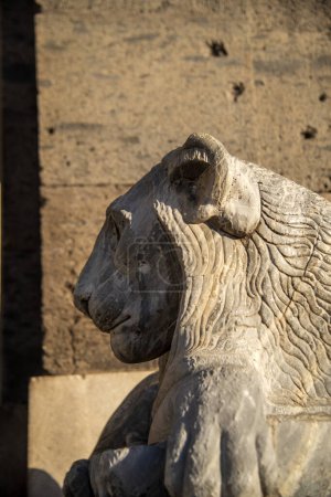 Close-up of a weathered stone lion statue basking in sunlight with shadows at naples' famous piazza plebiscito in the background