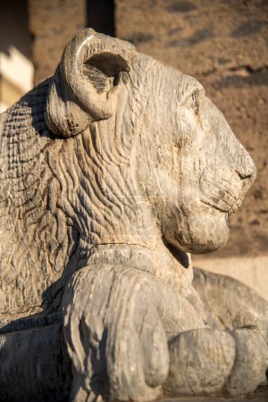 Großaufnahme einer verwitterten Löwenskulptur aus Stein, die sich im warmen Sonnenlicht auf der ikonischen Piazza Plebiscito in Neapel sonnt