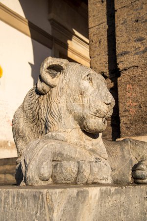 Majestätische, in Sonnenlicht getauchte Steinlöwenskulptur auf der historischen Piazza Plebiscito in Neapel, die komplexes Kunsthandwerk und kulturelles Erbe präsentiert