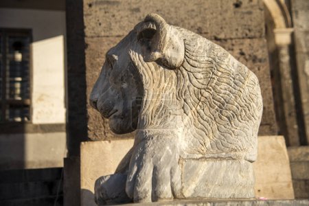 Close-up shot capturing the details of a historic stone lion sculpture bathed in sunlight at piazza plebiscito, naples