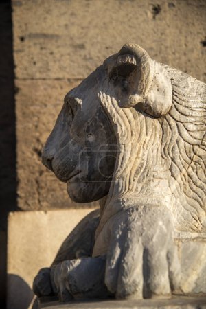 Detailed view of an intricately carved stone lion bathed in sunlight at the historic piazza plebiscito in naples, italy