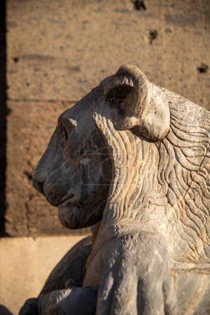 Close-up view of an ancient lion statue bathed in warm sunlight at the historic piazza plebiscito in naples, italy