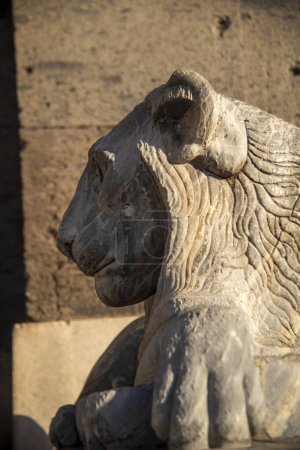 Majestätische Löwenstatue in warmem Sonnenlicht eingefangen und präsentiert komplexe Details auf der historischen Piazza Plebiscito im Herzen von Neapel