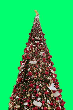 Photo for Christmas decoration. Hanging Red balls on pine branches. Green Background - Royalty Free Image