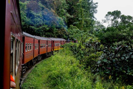 Photo for Sri Lanka's Colombo Fort main train station to Badulla station travels through dense forest. - Royalty Free Image