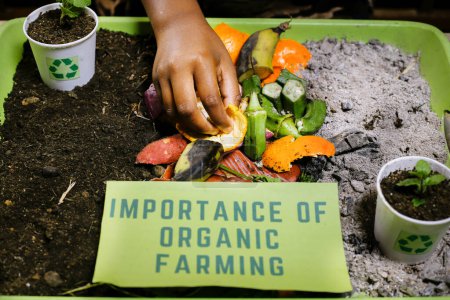 importance of organic farming