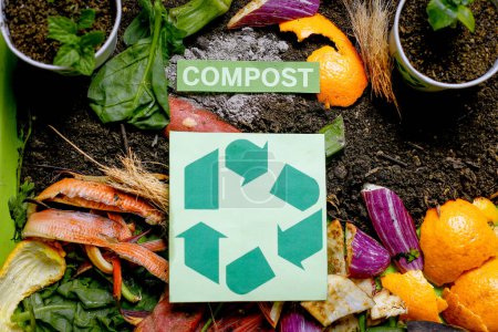 recycle and composting top view