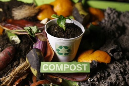 Foto de Reciclar y compostaje vista superior - Imagen libre de derechos