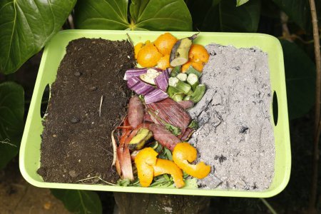 Kompost und kompostierter Bodenkreislauf als Kompoststapel aus verrottenden Küchenabfällen mit Obst und Gemüseabfällen, der sich in organische Düngererde verwandelt, in der eine wachsende junge Pflanze als Verbund wächst.